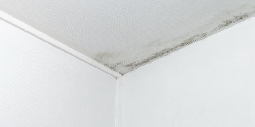 SkamoWall alkalmazása